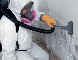 Best Mold Removal for HVAC Installations  in Vinton, VA